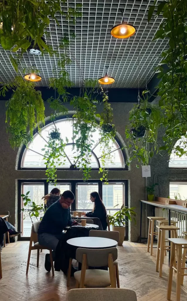 small business bfs-financing